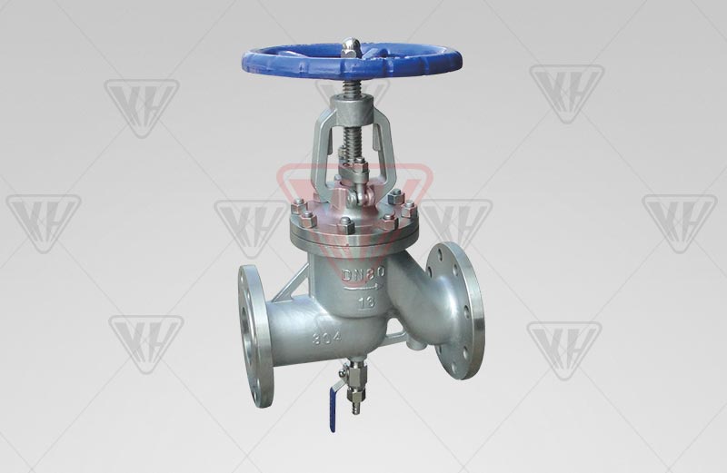 Stainless steel antibiotic globe valve